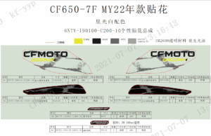 F19-B DECAL(NEBULA WHITE)