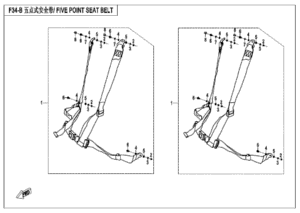 F34-B FIVE POINT SEAT BELTS