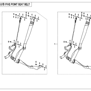 F34-B-V1 FIVE POINT SEAT BELTS