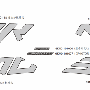 F19-2-B DECAL(NEBULA BLACK)