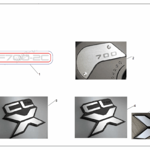 F19-1 DECAL