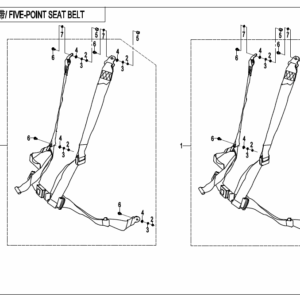 F34-B-V2 5-POINT SEAT BELT