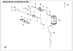 F36 FUEL EVAPORATION SYSTEM