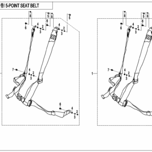 F34-B 5-POINT SEAT BELT
