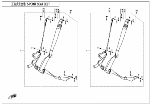 F34-B 5-POINT SEAT BELT
