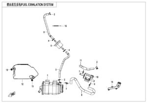 F36 FUEL EVAPORATION SYSTEM