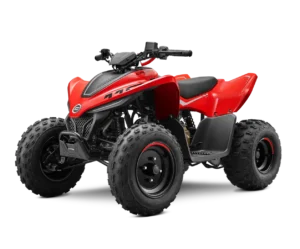CFMOTO GLADIATOR X110 LE