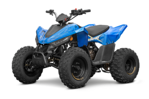 Linhai ATV 110